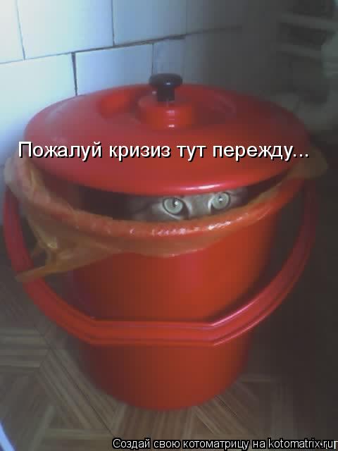 Пожалуй кризиз тут пережду...... Котоматрица: Пожалуй кризиз тут пережду...