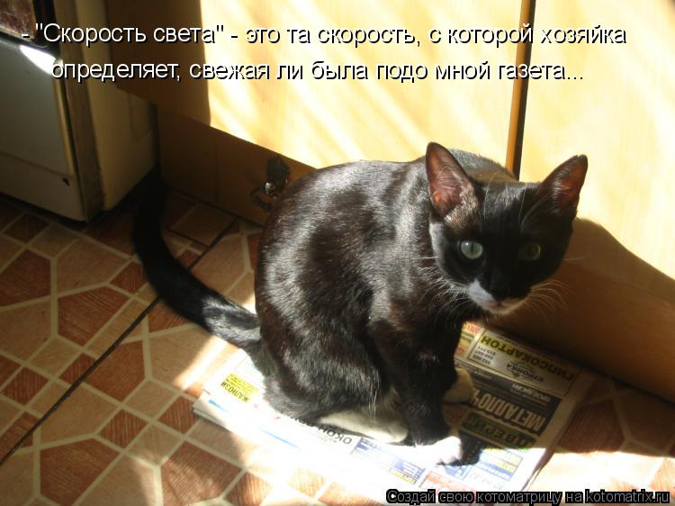 - "Скорость света" - это та скорость, с которой хозяйка определяет, свежая ли была подо мной газета..... Котоматрица: - "Скорость света" - это та скорость, с которой хозяйка определяет, свежая ли была подо мной газета...