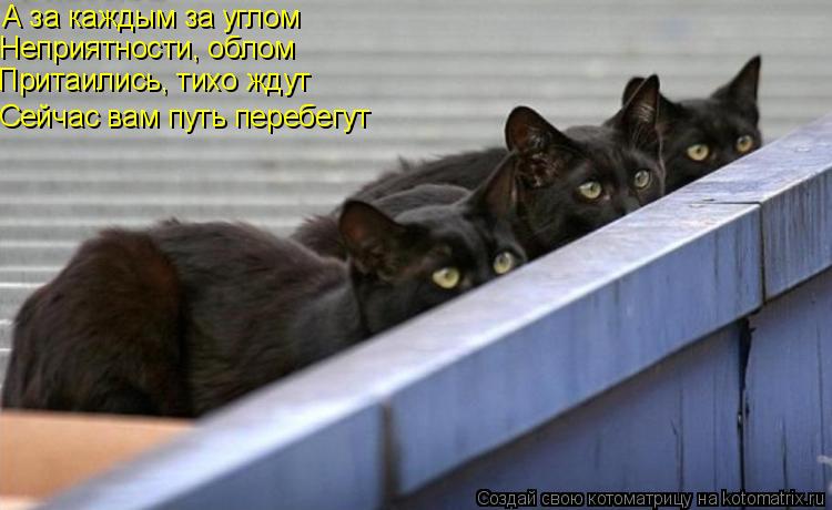 А за каждым за углом Неприятности, облом Притаились, тихо ждут Сейчас вам путь перебегут... Котоматрица: А за каждым за углом Неприятности, облом Притаились, тихо ждут Сейчас вам путь перебегут