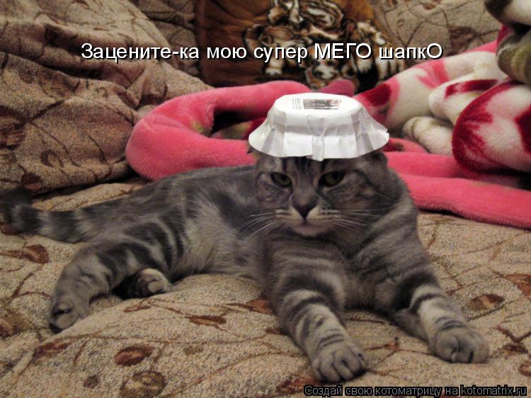 Котоматрица: Зацените-ка мою супер МЕГО шапкО