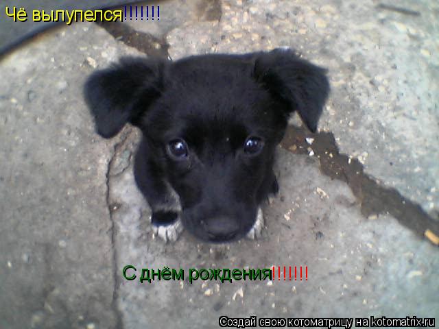 Чё вылупелся С днём рождения !!!!!!! !!!!!!!... Котоматрица: Чё вылупелся С днём рождения !!!!!!! !!!!!!!