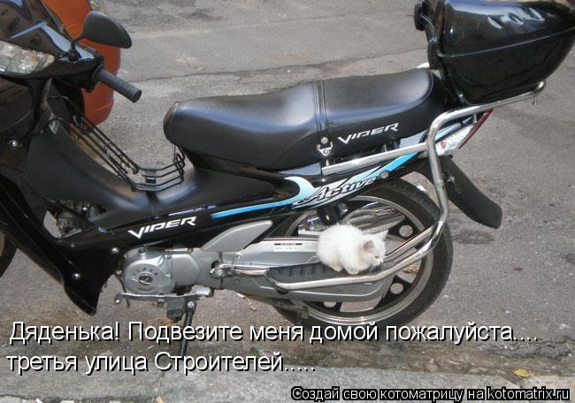 Дяденька! Подвезите меня домой пожалуйста.... третья улица Строителей........ Котоматрица: Дяденька! Подвезите меня домой пожалуйста.... третья улица Строителей.....