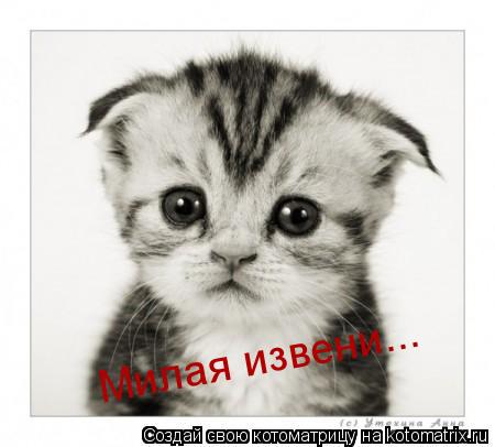 Милая извени...... Котоматрица: Милая извени...