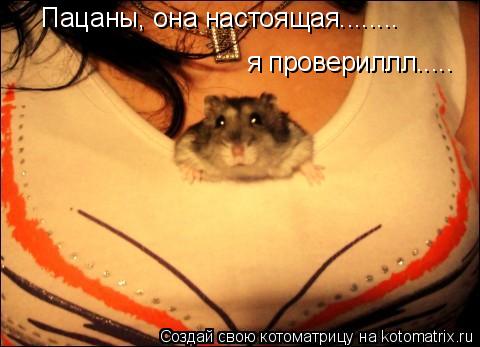Пацаны, она настоящая........ я провериллл........ Котоматрица: Пацаны, она настоящая........ я провериллл.....