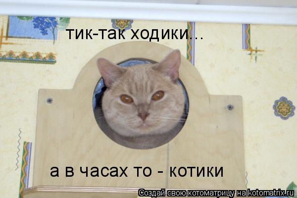 а в часах то - котики тик-так ходики...... Котоматрица: а в часах то - котики тик-так ходики...