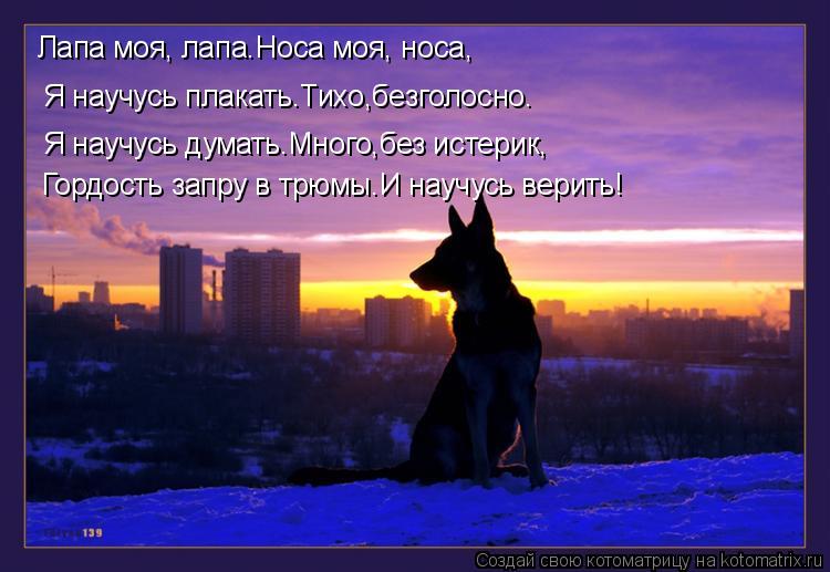 Котоматрица: Лапа моя, лапа.Носа моя, носа, Я научусь плакать.Тихо,безголосно. Я научусь думать.Много,без истерик, Гордость запру в трюмы.И научусь верить!
