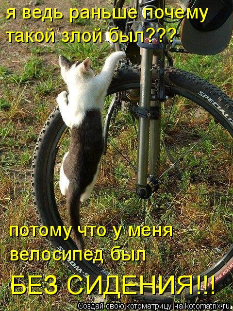 Котоматрица: я ведь раньше почему  такой злой был??? потому что у меня велосипед был БЕЗ СИДЕНИЯ!!!