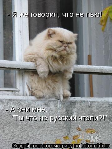 - Я же говорил, что не пью! - А они мне: "Ты что не русский чтоли?!"... Котоматрица: - Я же говорил, что не пью! - А они мне: "Ты что не русский чтоли?!"