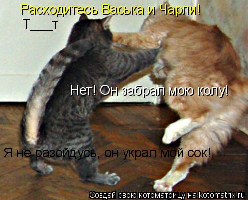 Расходитесь Васька и Чарли! Нет! Он забрал мою колу! Я не разойдусь, он украл мой сок! Т___т... Котоматрица: Расходитесь Васька и Чарли! Нет! Он забрал мою колу! Я не разойдусь, он украл мой сок! Т___т