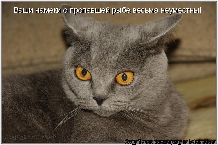 Котоматрица: Ваши намеки о пропавшей рыбе весьма неуместны!