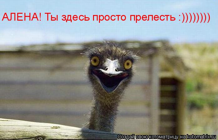 АЛЕНА! Ты здесь просто прелесть :))))))))... Котоматрица: АЛЕНА! Ты здесь просто прелесть :))))))))