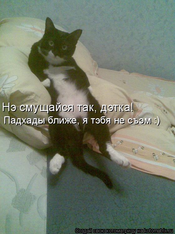 Котоматрица: Нэ смущайся так, дэтка! Падхады ближе, я тэбя не съэм :)