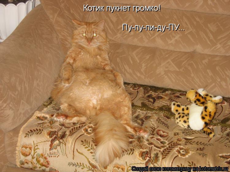 Котик пукнет громко! Пу-пу-пи-ду-ПУ...... Котоматрица: Котик пукнет громко! Пу-пу-пи-ду-ПУ...
