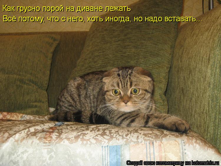 Как грусно порой на диване лежать Всё потому, что с него, хоть иногда, но надо вставать...... Котоматрица: Как грусно порой на диване лежать Всё потому, что с него, хоть иногда, но надо вставать...