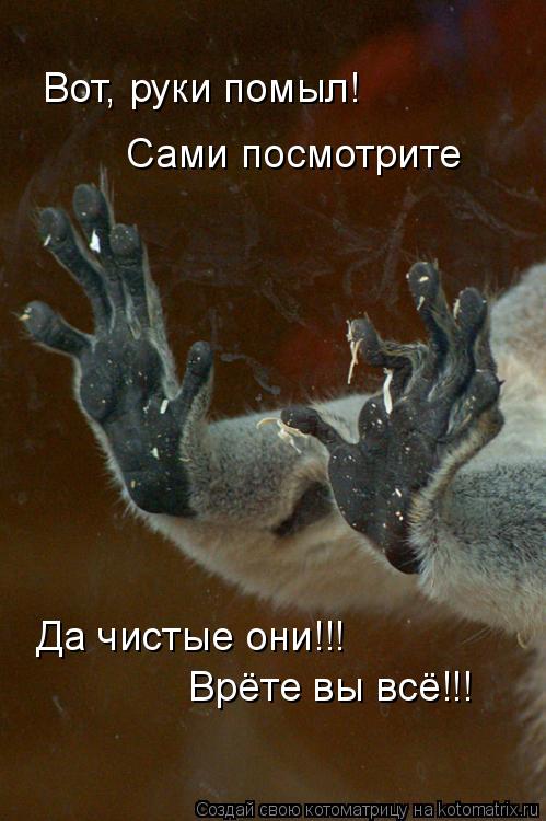Вот, руки помыл! Сами посмотрите Да чистые они!!! Врёте вы всё!!!... Котоматрица: Вот, руки помыл! Сами посмотрите Да чистые они!!! Врёте вы всё!!!
