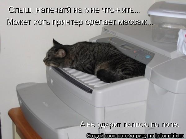 Слыш, напечатй на мне что-нить... Может хоть принтер сделает массаж.... А не ударит палкою по попе.... Котоматрица: Слыш, напечатй на мне что-нить... Может хоть принтер сделает массаж.... А не ударит палкою по попе.