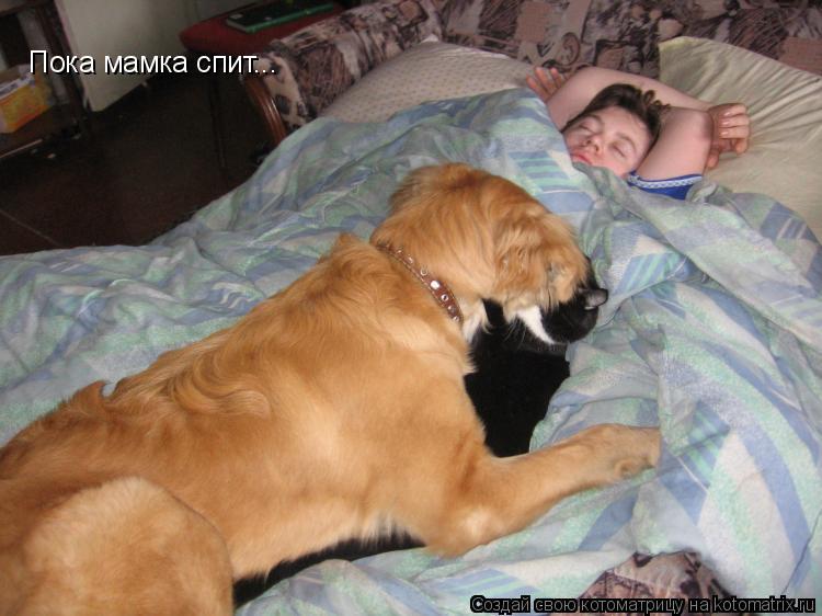 Котоматрица: Пока мамка спит...