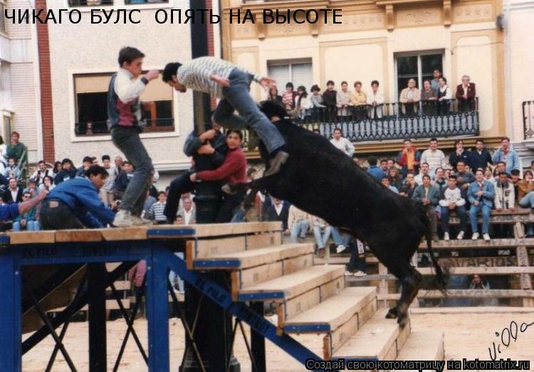 ЧИКАГО БУЛС ОПЯТЬ НА ВЫСОТЕ... Котоматрица: ЧИКАГО БУЛС ОПЯТЬ НА ВЫСОТЕ