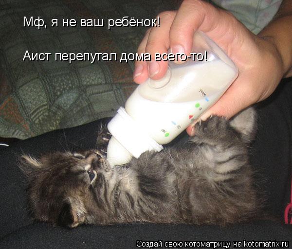 Мф, я не ваш ребёнок! Аист перепутал дома всего-то!... Котоматрица: Мф, я не ваш ребёнок! Аист перепутал дома всего-то!