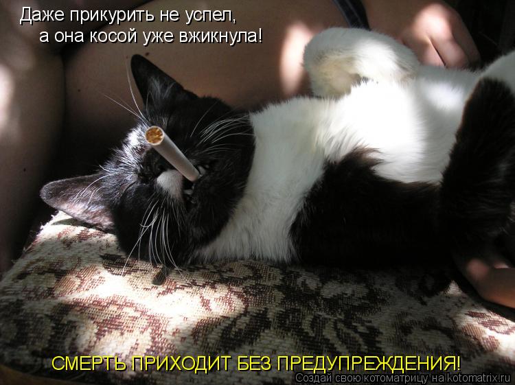 Даже прикурить не успел, а она косой уже вжикнула! СМЕРТЬ ПРИХОДИТ БЕЗ ПРЕДУПРЕЖДЕНИЯ!... Котоматрица: Даже прикурить не успел, а она косой уже вжикнула! СМЕРТЬ ПРИХОДИТ БЕЗ ПРЕДУПРЕЖДЕНИЯ!
