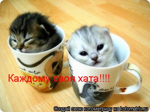 Каждому своя хата!!!!... Котоматрица: Каждому своя хата!!!!