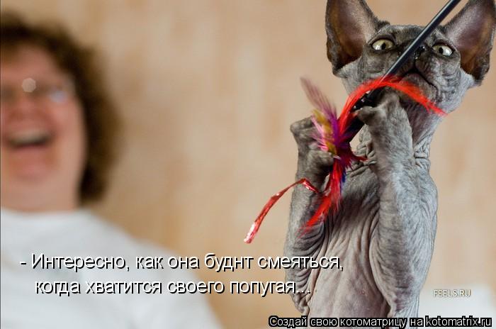 - Интересно, как она буднт смеяться, когда хватится своего попугая...... Котоматрица: - Интересно, как она буднт смеяться, когда хватится своего попугая...