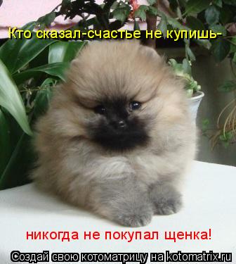 Кто сказал-счастье не купишь- никогда не покупал щенка!... Котоматрица: Кто сказал-счастье не купишь- никогда не покупал щенка!