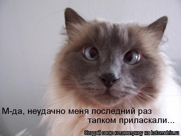 М-да, неудачно меня последний раз тапком приласкали...... Котоматрица: М-да, неудачно меня последний раз тапком приласкали...