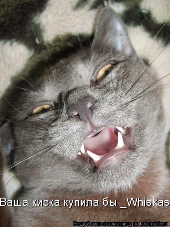 Ваша киска купила бы _Whiskas!... Котоматрица: Ваша киска купила бы _Whiskas!