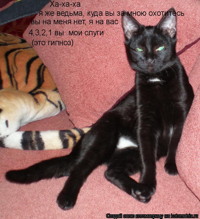Ха-ха-ха я же ведьма, куда вы за мною охотитесь вы на меня нет, я на вас 4,3,2,1 вы мои слуги (это ... Котоматрица: Ха-ха-ха я же ведьма, куда вы за мною охотитесь вы на меня нет, я на вас 4,3,2,1 вы мои слуги (это гипноз)