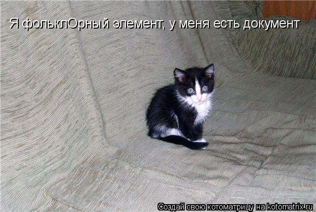 Котоматрица: Я фольклОрный элемент, у меня есть документ