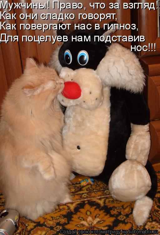 Как они сладко говорят, Мужчины! Право, что за взгляд! Как повергают нас в гипноз, Для поцелуев нам п... Котоматрица: Как они сладко говорят, Мужчины! Право, что за взгляд! Как повергают нас в гипноз, Для поцелуев нам подставив нос!!!