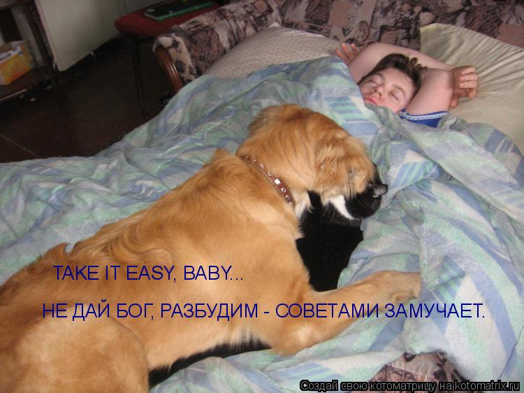 TAKE IT EASY, BABY... НЕ ДАЙ БОГ, РАЗБУДИМ - СОВЕТАМИ ЗАМУЧАЕТ.... Котоматрица: TAKE IT EASY, BABY... НЕ ДАЙ БОГ, РАЗБУДИМ - СОВЕТАМИ ЗАМУЧАЕТ.