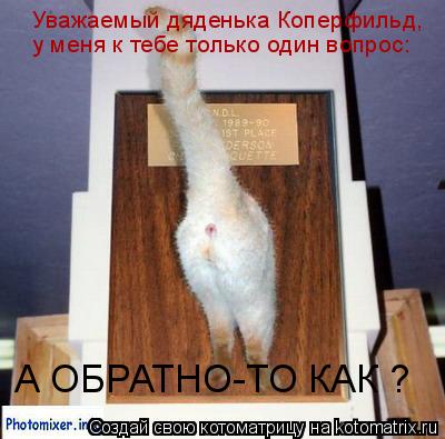 Уважаемый дяденька Коперфильд, у меня к тебе только один вопрос: А ОБРАТНО-ТО КАК ?... Котоматрица: Уважаемый дяденька Коперфильд, у меня к тебе только один вопрос: А ОБРАТНО-ТО КАК ?
