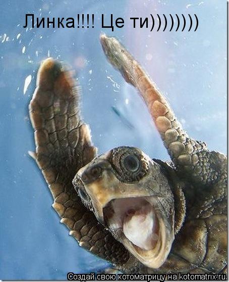 Линка!!!! Це ти))))))))... Котоматрица: Линка!!!! Це ти))))))))