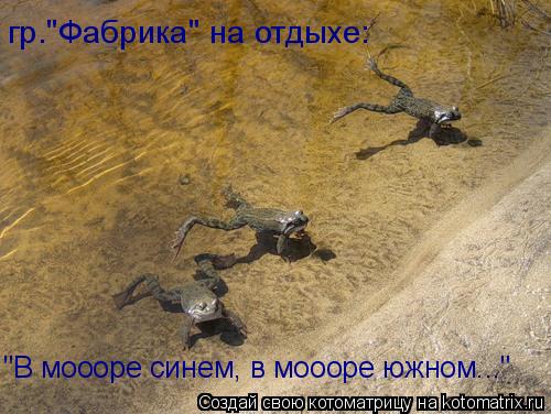 Котоматрица: гр."Фабрика" на отдыхе: "В моооре синем, в моооре южном..."