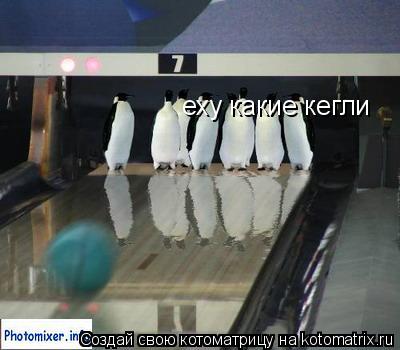 еху какие кегли... Котоматрица: еху какие кегли