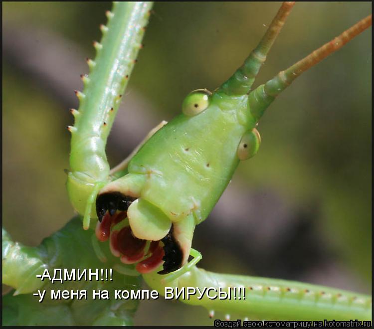 -АДМИН!!! -у меня на компе ВИРУСЫ!!!... Котоматрица: -АДМИН!!! -у меня на компе ВИРУСЫ!!!
