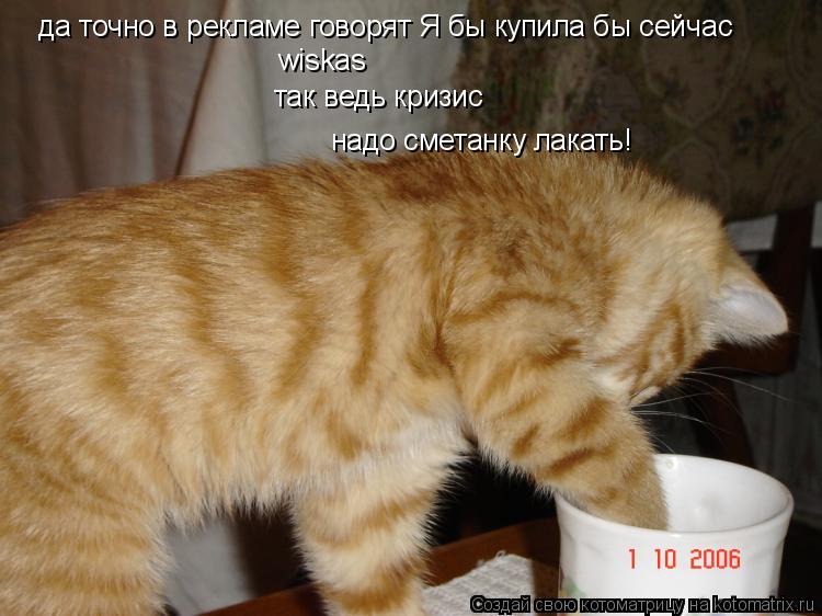 да точно в рекламе говорят Я бы купила бы сейчас wiskas так ведь кризис надо сметанку лакать!... Котоматрица: да точно в рекламе говорят Я бы купила бы сейчас wiskas так ведь кризис надо сметанку лакать!