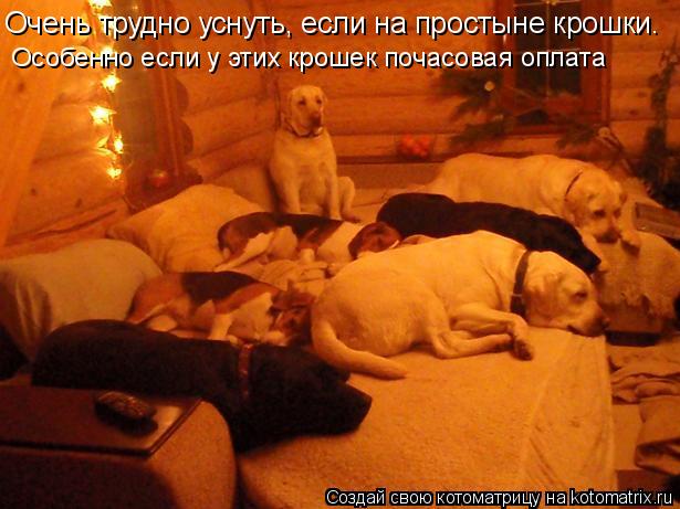 Очень трудно уснуть, если на простыне крошки. Особенно если у этих крошек почасовая оплата... Котоматрица: Очень трудно уснуть, если на простыне крошки. Особенно если у этих крошек почасовая оплата