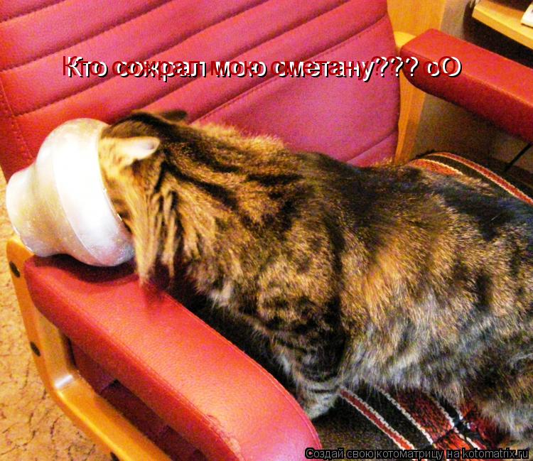 Кто сожрал мою сметану??? оО Кто сожрал мою сметану??? оО... Котоматрица: Кто сожрал мою сметану??? оО Кто сожрал мою сметану??? оО