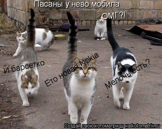 И барсетко Ето новая Nokia Мелочь есть? Пасаны у нево мобила ОМГ?!... Котоматрица: И барсетко Ето новая Nokia Мелочь есть? Пасаны у нево мобила ОМГ?!