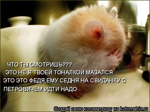 Котоматрица: ЧТО ТЫ СМОТРИШЬ??? ЭТО НЕ Я ТВОЕЙ ТОНАЛКОЙ МАЗАЛСЯ ЭТО ЭТО ФЕДЯ,ЕМУ СЕДНЯ НА СВИДАНКУ С ПЕТРОВИЧЕМ ИДТИ НАДО