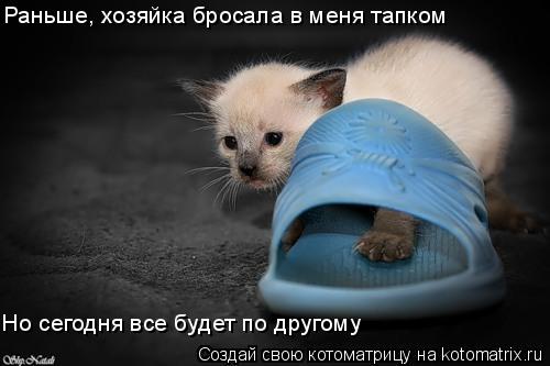 Раньше, хозяйка бросала в меня тапком Но сегодня все будет по другому... Котоматрица: Раньше, хозяйка бросала в меня тапком Но сегодня все будет по другому