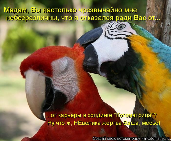 Мадам, Вы настолько чрезвычайно мне небезразличны, что я отказался ради Вас от... ...от карьеры в хо... Котоматрица: Мадам, Вы настолько чрезвычайно мне небезразличны, что я отказался ради Вас от... ...от карьеры в холдинге "Котоматрица"? Ну что ж, НЕвелика же