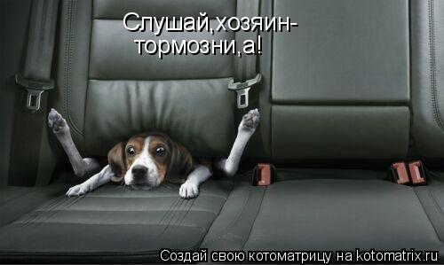 Котоматрица: Слушай,хозяин- тормозни,а!