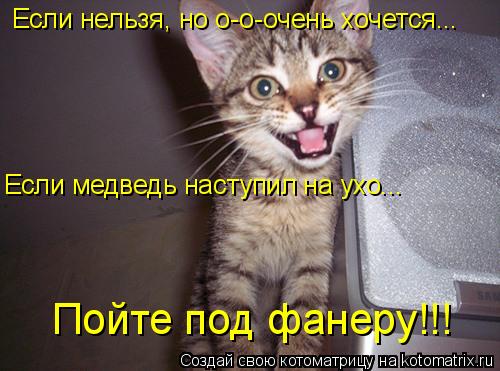 Если нельзя, но о-о-очень хочется... Если медведь наступил на ухо... Пойте под фанеру!!!... Котоматрица: Если нельзя, но о-о-очень хочется... Если медведь наступил на ухо... Пойте под фанеру!!!