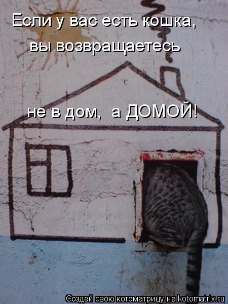 Если у вас есть кошка, вы возвращаетесь не в дом, а ДОМОЙ!... Котоматрица: Если у вас есть кошка, вы возвращаетесь не в дом, а ДОМОЙ!