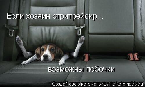 Если хозяин стритрейсир... возможны побочки... Котоматрица: Если хозяин стритрейсир... возможны побочки