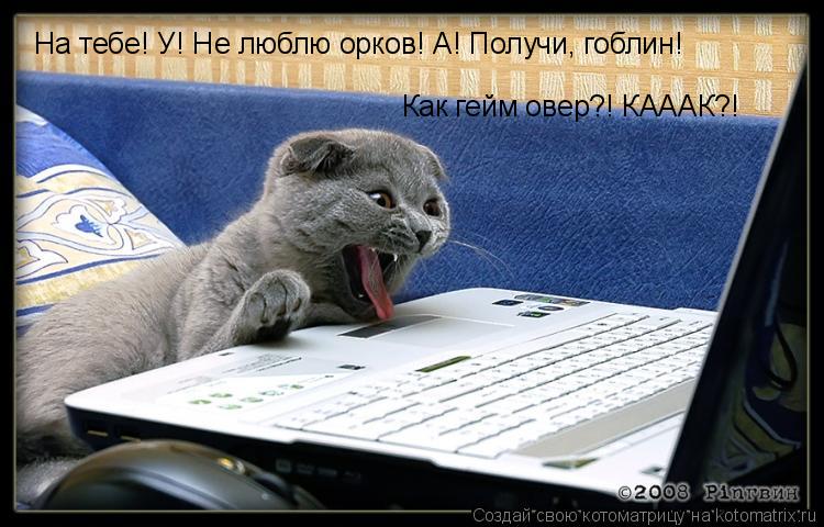 Котоматрица: На тебе! У! Не люблю орков! А! Получи, гоблин! Как гейм овер?! КАААК?!
